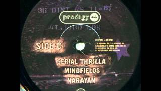 The Prodigy  mindfields HQ vinyl [upl. by Kcirdde]