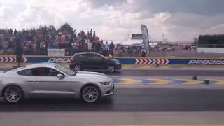 Mustang V6 vs Polo GTI [upl. by Ahtibat]