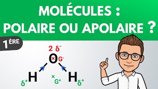 Déterminer la polarité dune molécule  Première  PhysiqueChimie [upl. by Regan170]