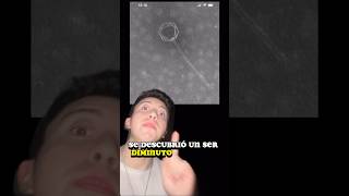 ⚠️SE ENCUENTRA UN NUEVO VIRUS EN LA FOSA DE LAS MARIANAS🦠😱⚠️short sabiasque noticias viral [upl. by Celeski]