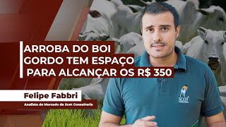 Boi gordo tem referência forte nos R 340 mas pecuarista busca os R 350 e com potencial para [upl. by Jarret]