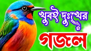 খুবই দুঃখের গজল। bangla gazal 2024 gojol gojol sundar gojol gojol bangla kolorob gojol gazal [upl. by Pilar]