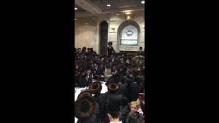 Rubashkin Dancing At Munkatch [upl. by Torin]