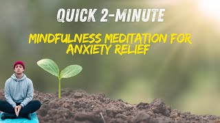 Quick 2 Minute Mindfulness Meditation for Anxiety Relief Calm Your Mind Instantly shorts [upl. by Jezebel]