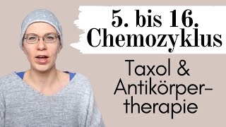 5 bis 16 Chemozyklus Taxol und Antikörpertherapie  Brustkrebs her2 positiv  Wyldest Life [upl. by Letsirhc453]