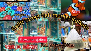 Galiff street Aquarium Market Tour   Cash On Delivery Abilable 🐬🦈 part 1 [upl. by Atileda361]