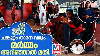 ആർക്കും ഇനി പയറ്റിത്തെളിയാംI Thani Nadan I Veerabhadra Kalari I [upl. by Eceined]