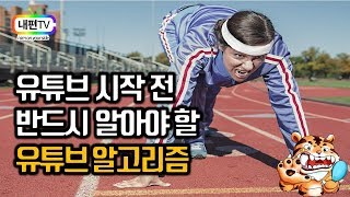 유튜브 시작 전 반드시 알아야 할 유튜브 알고리즘 내편TV 행정사100세시대 40대 50대 60대 은퇴 생활법률 임플란트 타이거 [upl. by Arakihc]