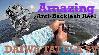 Amazing AntiBacklash Baitcasting Reel Tatula SVTW [upl. by Jaclyn27]