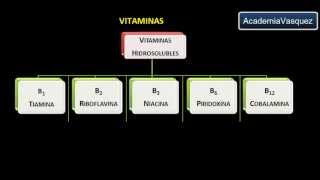 Vitaminas Historia Estructura y Clasificación [upl. by Wichman782]