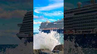 MS Rotterdam 🛳️⚓️like share comment subscribe cruiseship cruise vacation shorts short wow [upl. by Ann-Marie793]