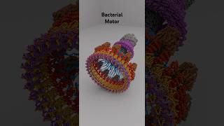 Bacterial flagellar motor animation science new [upl. by Cosette335]