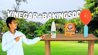 vinegar  baking soda experiments baking powdervinegar experimentexperiment video [upl. by Anaahs]