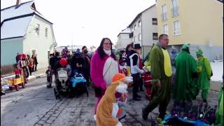 Faschingsumzug 2013 Burgau [upl. by Durgy]