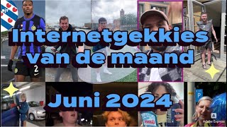 De Internetgekkies van de maand Juni 2024 [upl. by Kendre152]