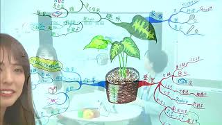 【Schoo】4 はじめてのマインドマップ 自己紹介のマインドマップ化で基本を理解する  塚原 美樹 先生 ～・先生のマインドマップ～ [upl. by Cozza]