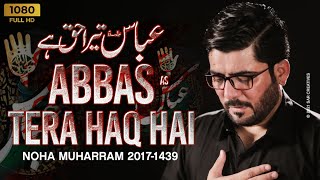 Abbasas Tera Haq Hai  Mir Hasan Mir  New Noha 2017 1439 HD [upl. by Aleirbag]