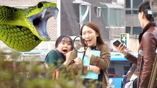 여대생 머리에 독사가 떨어지다 뱀 떨구기 프랭크 Popping Out Snake Prank ­­｜달총곰 [upl. by Randa519]