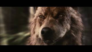 Exo Wolves Au FMV [upl. by Hollington]