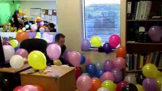 The Balloonery  2500 balloons  best office prank balloon r [upl. by Joao]