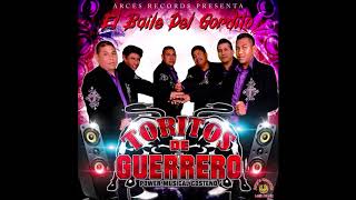 Toritos de Guerrero  El Baile Del Gordito Disco Completo [upl. by Nairahcaz54]