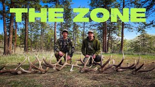 THE BONE ZONE ELK SHED HUNTING  FINDING ELK SHEDS 2024 [upl. by Edmead502]