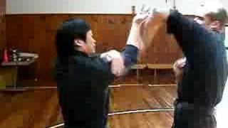 Wing Chun  Chi Sau Sparring 1 [upl. by Cortney]