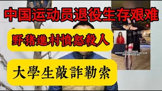 中国运动员退役后生存凄惨I 野猪冲进村庄愤怒攻击村民 I 大学生不上学到处诈骗勒索 [upl. by Madora10]