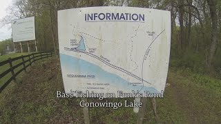 Bass Fishing on Funks Pond Conowingo Lake [upl. by Katusha]