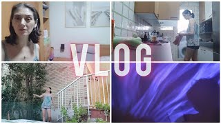 Decepción con los cuadros  vlog  Que jartura de jardin 😁 [upl. by Ariadne984]