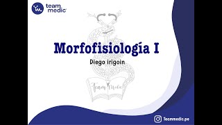 Morfofisiologia I UPAO Sensibilidad parte 1 [upl. by Carpet947]