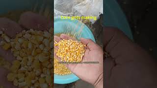 Corn peeling and corn grits corn flour making machine  Corn grits machine for maize milling [upl. by Sapphire722]