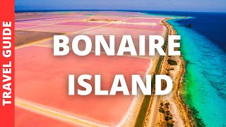 Bonaire Island Travel Guide 14 BEST Things To Do In Bonaire Island Carribean [upl. by Navek]