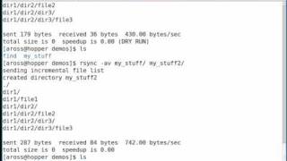 amazingly useful and powerful tool for copying files  rsync [upl. by Nomi]