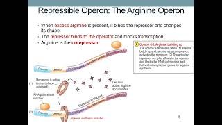 Gene Regulation [upl. by Hadley]