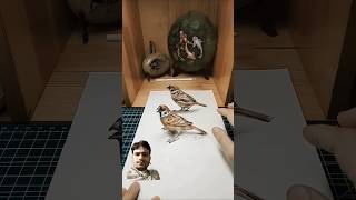 Two sparrow American Got talent britainsgottalent americansgottalent AGT trendingytshorts [upl. by Barrie]