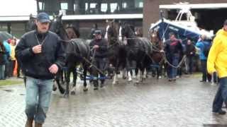 Paarden Reddingsboot op Ameland [upl. by Paulson759]