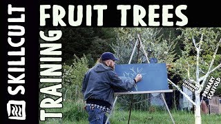 Fruit Tree Training Explained Modfied Central Leader amp Delayed Open Center [upl. by Nabla]