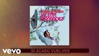 Vicente Fernández  Si Acaso Vuelves Cover Audio [upl. by Aivatra723]