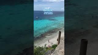 Bonaire caribbean carnivalcruise travel shortsvideo beach shorts adventure vacation [upl. by Maillij224]