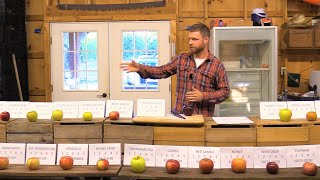 Apple Tasting 25 Varieties at my Friends Orchard [upl. by Eynaffit828]