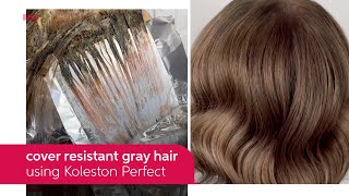 How to Cover Resistant Gray Hair Using Koleston Perfect  Wella Professionals [upl. by Daniell]