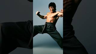 Jackie Chan The Legend of Action and Martial Arts Mastery [upl. by Enyledam]