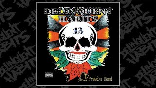 Delinquent Habits  Freedom Band [upl. by Rednirah910]