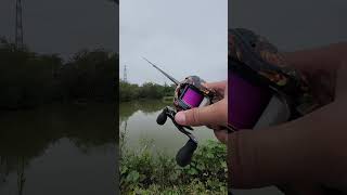 スティーズHLC fishing バチ抜けシーバス シャトルバス バス釣り bassfishing [upl. by Enelyahs]