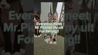 Meet MrPickles wcue roblox pickle [upl. by Welton]