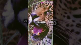 ¡Cuidado Los 3 Animales Más Peligrosos del Amazonas curiosidades sabiasque shorts videoviral [upl. by Llertnor519]