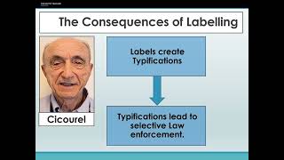 5 Labelling Theory of Crime Lecture [upl. by Annaes]