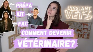 Comment devenir vétérinaire Etudes à létranger voie postBAC FAC prépa IUT parlons de TOUT [upl. by Ocsinarf]