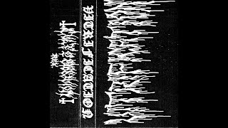 Vitrification  Demo 2024 [upl. by Musetta]